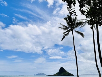 観光タクシーチャーター