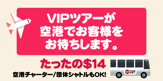 ハワイvipツアー ハワイオプション ハワイオプショナルツアー予約専門会社