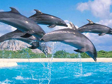 シーライフパーク