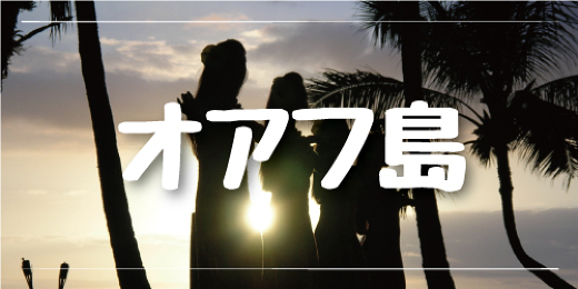 現地ツアー ハワイvipツアー ハワイオプション ハワイオプショナルツアー予約専門会社