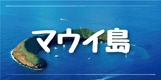 現地ツアー ハワイvipツアー ハワイオプション ハワイオプショナルツアー予約専門会社