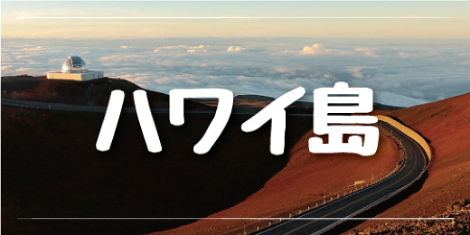 ハワイvipツアー ハワイオプション ハワイオプショナルツアー予約専門会社 ハワイvipツアー ハワイオプション ハワイオプショナルツアー予約専門会社
