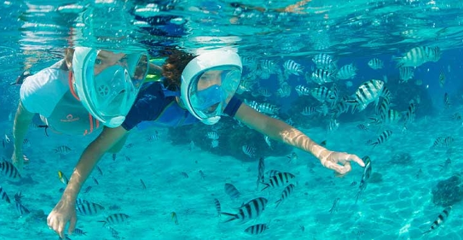 パラダイスウォータースポーツ