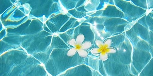 プロモーション商品