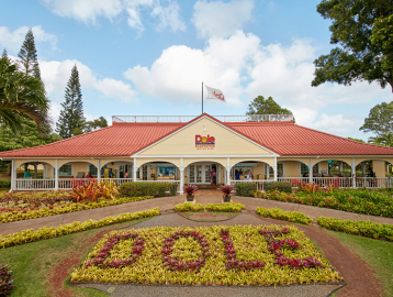 돌플랜테이션 & 할레이바 셔틀