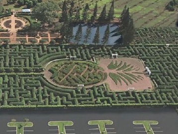 ドールハレイワシャトル