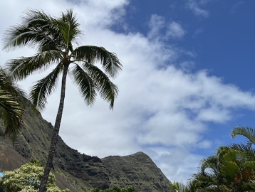 観光タクシーチャーター